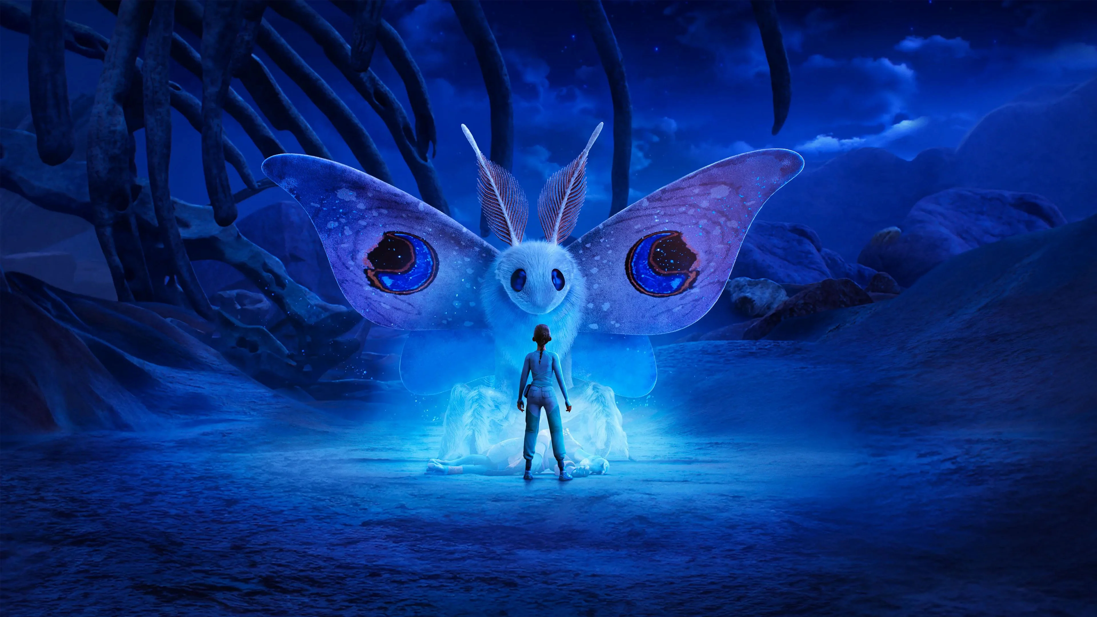 Đi Tìm WondLa – WondLa (Phần 3) - WondLa (Season 3)