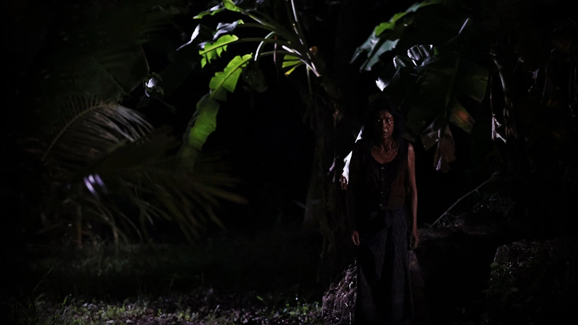 Ha Gom: Bóng Tối Của Tâm Hồn - Ha Gom: The Darkness Of The Soul